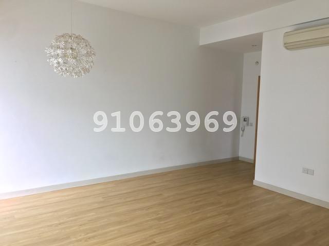 Evania thumbnail photo